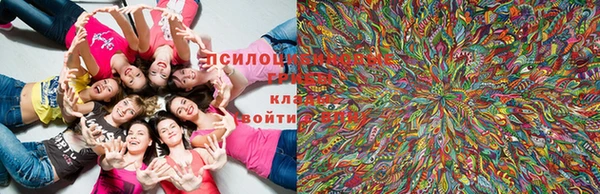 кристаллы Краснослободск