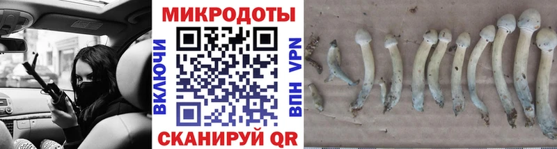 Купить где  Бирск  Галлюциногенные грибы Magic Shrooms 