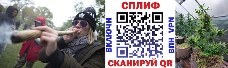 Купить закладки  Бирск  Марихуана гибрид 